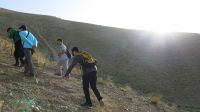 image10